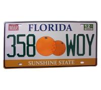OPO 10 - Plaque D' IMMATRICULATION de Voiture USA - réplique en métal : Florida (87)