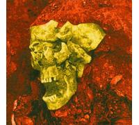 Opodeldox,die - Die Letzte Erste [Import]