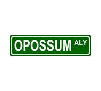 Opossum Aly Plaque de rue en métal pour bar, café, garage, chambre, salle de bain, ferme, jardin, porche, terrasse, 40,6 x 10,2 cm