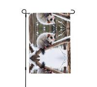 Opossum In Snow Drapeau de jardin double face 71,1 x 101,6 cm (léger) - Impression intégrale vibrante pour cour, jardin, terrasse ou porche