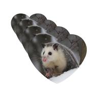 Opossum In Snow Lot de 4 désodorisants de voiture personnalisés pour homme et femme - Tablettes d'aromathérapie - Cartes parfumées à suspendre pour garde-robe et salle de bain