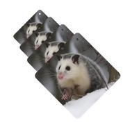 Opossum In Snow Lot de 4 désodorisants de voiture personnalisés pour homme et femme - Tablettes d'aromathérapie - Cartes parfumées à suspendre pour garde-robe et salle de bain