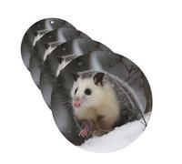 Opossum In Snow Lot de 4 désodorisants de voiture personnalisés pour homme et femme - Tablettes d'aromathérapie - Cartes parfumées à suspendre pour garde-robe et salle de bain
