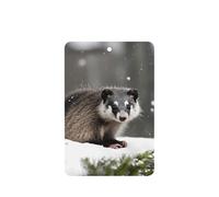 Opossum In Snow Printing Lot de 10 feuilles de désodorisant pour voiture avec corde