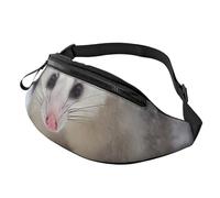 Opossum in Snow Sac banane personnalisé, léger et polyvalent pour les aventures quotidiennes et en plein air, Noir , Taille unique, Sac à dos décontracté