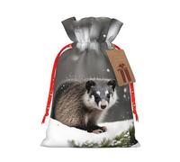 Opossum In Snow Sac de Noël avec cordon de serrage, 12 x 17 cm pour emballage cadeau d'anniversaire