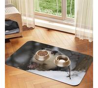 Opossum in Snow Tapis d'alimentation pour animal domestique 40 x 60 cm, tapis absorbant pour gamelle de nourriture et d'eau, tapis de nourriture pour chat en cuir synthétique, tapis imperméable à