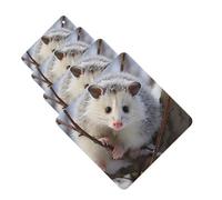 Opossum Lot de 4 désodorisants de voiture à suspendre avec inscription « In Snow » - Mignon - Longue durée - Pour miroir - Décoration à suspendre - Cadeau pour homme et femme - Carré