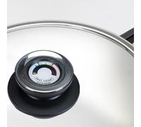 OPPAHA Thermomètre Visiotherm Termo Control Couvercle de casserole - Bouton compatible avec différentes marques et modèles - Filetage en laiton 5 mm anti-brûlure - 1 pièce