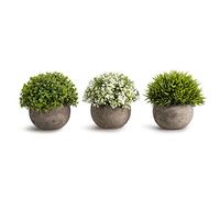 Opps Lot de 3 Mini Plantes artificielles en Plastique avec Herbe Verte fraîche dans Un Pot Gris pour décoration d'intérieur