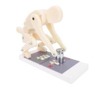 OPPWONG Modèle de Figurine de Démonstration de Levage, Modèle de Levage Correct du Corps Humain, Pédagogique de Protection de la Colonne Lombaire, Idéal pour la Protection de la Taille et des