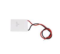 OPPWONG Module de Plaque Compacte et Durable pour Refroidisseur Thermoélectrique, pour une Vitesse de Refroidissement Rapide dans les Télécommunications et la Pétrochimie