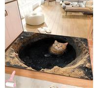 Optical Illusion 3D Rug, Fun Creatives 3D Hole Carpet for Decorative Floor Art, Non Slip Quick Dry Washable Soft Floor Mat for Home,Entryway,Living Room,Bedroom