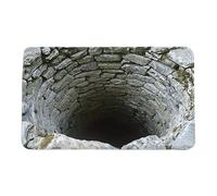 Optical Illusion Rug, 3D Rugs Optical Illusion, 20x32 inch Rug That Looks Like A Hole - Non-Slip Doormat for Entrance Bathroom Bedroom