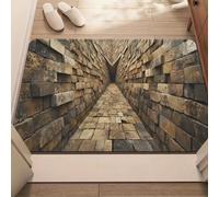 Optical Illusion Rug, 3D Rugs Optical Illusion, Fun Visual Experience for Pets & Guests for Living Room Bedroom Game Room Hallway (#19,23.62x35.43in)