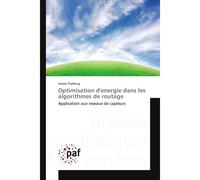 Optimisation D'energie Dans Les Algorithmes De Routage