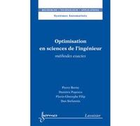 Optimisation en sciences de l'ingénieur. Méthodes exactes Florin-Gheorghe FILIP (Auteur), Dumitru Popescu (Auteur), Pierre Borne (Auteur)