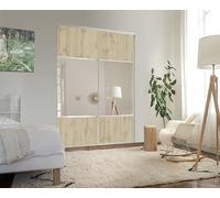 OPTIMUM Kit de 2 Portes de Placard coulissantes, Hauteur 250 cm, Largeur Totale 120 cm, décor chêne Authentique, partitionné Miroir Argent, profils et Rails Gris Inclus