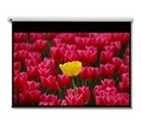 Optoma Pantalla 16:9 2656 X 1494mm écran De Projection 3,05 M (120")