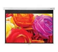 Optoma PMG+ - Ecran de projection - montable au plafond, montable sur mur - 123" (312 cm) - 16:10 - Matte White