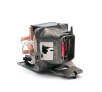 Optoma SP.7D101GC01 Module de lampe de projecteur