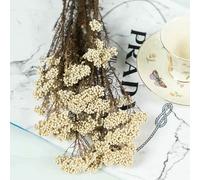 Optxzn 50/100 g Bouquet de Fleurs de Millet séchées Naturelles, véritables Fleurs de Riz éternelles, Accessoires en résine pour Bougies DIY, décoration pour la Maison, Les Mariages et Les fêtes