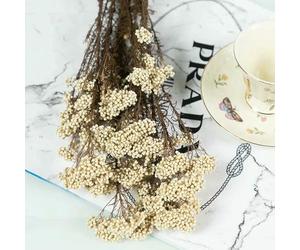 Optxzn 50/100 g Bouquet de Fleurs de Millet séchées Naturelles, véritables Fleurs de Riz éternelles, Accessoires en résine pour Bougies DIY, décoration pour la Maison, Les Mariages et Les fêtes