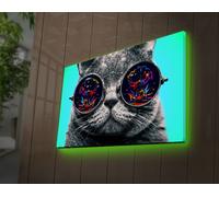Opviq, 4570DACT- LED3285, Multicolore, toiles, 45 x 70 cm, 100% suédine -toile