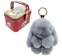 OPVYAEU Porte Clé Peluche Lapin avec Boîte en Métal Charm Sac à Main Pendentif Lapin Mignon Porte-Clés Peluche Lapin de Pâques Accessoire Sac Kawaii