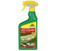 Neudorff Anti Cochenilles Élimine Œufs, Larves et Adultes 750ml | Prêt à L'emploi Action Choc | Insecticide Spruzit AF