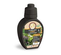 OR BRUN Stimulant Expert - Boosteur de croissance - 250ml - OBREEXPVITAL250