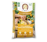 Or Brun – Terreau Agrumes & Plantes méditerranéennes – Utilisable en Agriculture Biologique – 6 L