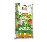 OR BRUN Terreau Plantes Vertes & Fleuries 20 litres : Un Support idéal pour Vos végétaux