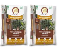 Or Brun Terreau Rempotage Universel - 6L - pour Toutes Les Plantes en Pots - Améliore la Croissance OBRTREM6U (Lot de 2)