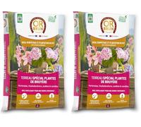 Or Brun Terreau Spécial Plantes De Bruyère - 6L - Meilleur Enracinement - Utilisable en Agriculture Biologique OBRTBRU6U (Lot de 2)