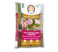 Or Brun Terreau Spécial Plantes De Bruyère - 6L - Meilleur Enracinement - Utilisable en Agriculture Biologique OBRTBRU6U