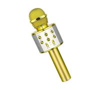 Or Microphone karaoké Portable sans fil, haut-parleur professionnel, compatible Bluetooth, WS858