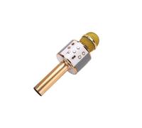 or Microphone karaoké Portable WS858, Bluetooth, sans fil, haut-parleur HIFI, pour la maison, KTV