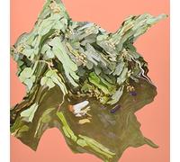 Oracle, Laszlo Umbreit, Mira Sanders - Reading the City