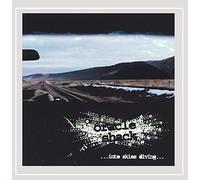 Oracle Shack - Into Skies Diving