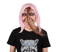 Oracra Trappe de Visite Trappe D'accès pour Salle de Bain (Mur/Plafond), Cache-Trou D'inspection pour Vanne de Plomberie, Cache-Grille de Révision pour Interrupteur à Charnière(50x25cm/19.6x9.8in)