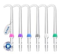 Oralphi Pour têtes de rechange Waterpik, pointes de rechange pour fil dentaire Waterpik, convient aux accessoires Waterpik, pointes de rechange, pour DT-100E (6 embouts de prothèse dentaire de