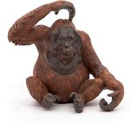 Orang outan