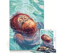 Orang-outan Flottant paisiblement dans l'eau Puzzle de 1000 pièces pour Adultes Améliore la mémoire et Le Plaisir de Jouer Ensemble Bords précis Cadeau saisonnier (38x26cm)
