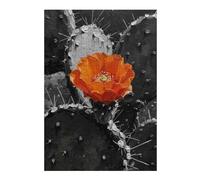 Orange Flower on Black and White Cactus Puzzle en Bois, 300 pièces