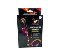 Orange Laisse Et Collier Lumineux Pour Chien Venteo Led Rechargeable Usb Longue Autonomie Résistant À L'eau 3 Modes D'éclairage Réglable Pour Petits/Moyens/Gros Chiens Orange