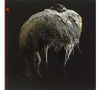 Orange Room - Elegy for The Punk Movement [Import]