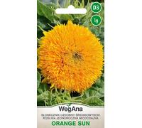 Orange Sun Tournesol Graines Moyenne-Haute 1g,Annuelle Plantes Fleurs D'été,Plantes De Jardin Plantes De Balcon,Fleurs Semences,Graines De Fleurs,Aimant À Abeilles