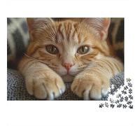 Orange Tabby Cat 1000 pièces Puzzle Chat Roux Gros Plan Adulte Carton Décompression Difficile Cadeau Anniversaire 38x26cm