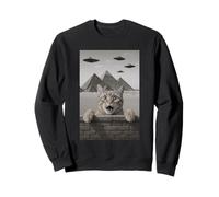Orange Tabby Cat Selfie at Pyramids Vintage UFO Encounter Sweatshirt